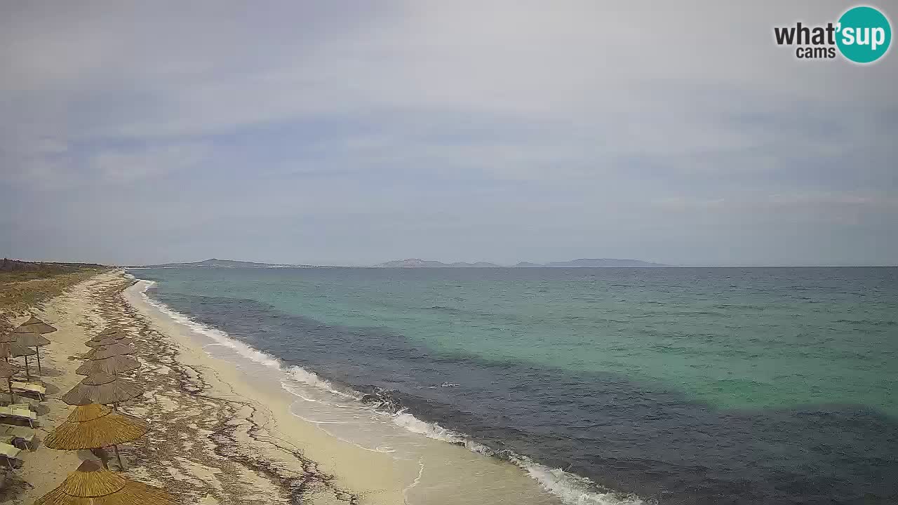 Strand Le Saline webcam Stintino – Sardinien