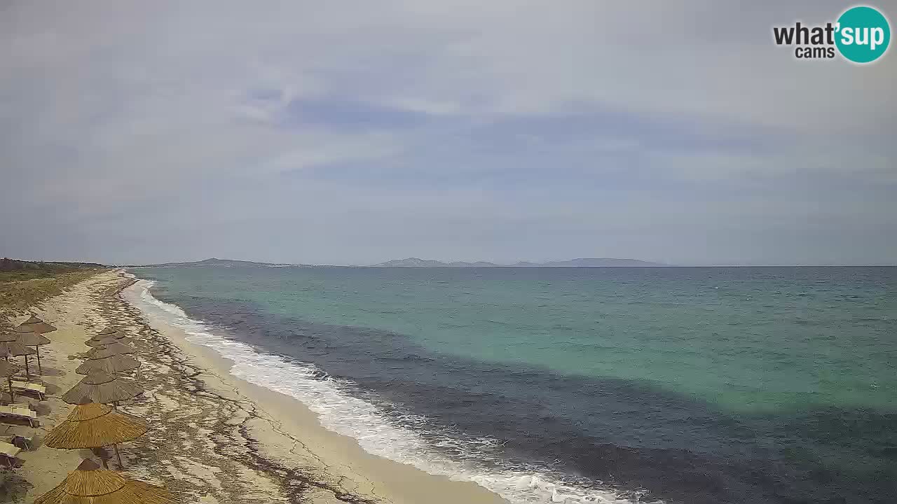 Plaža Le Saline spletna kamera Stintino – Sardinija