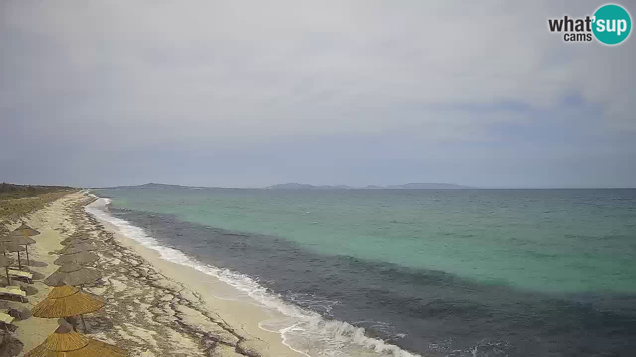 Plaža Le Saline web kamera Stintino – Sardinija
