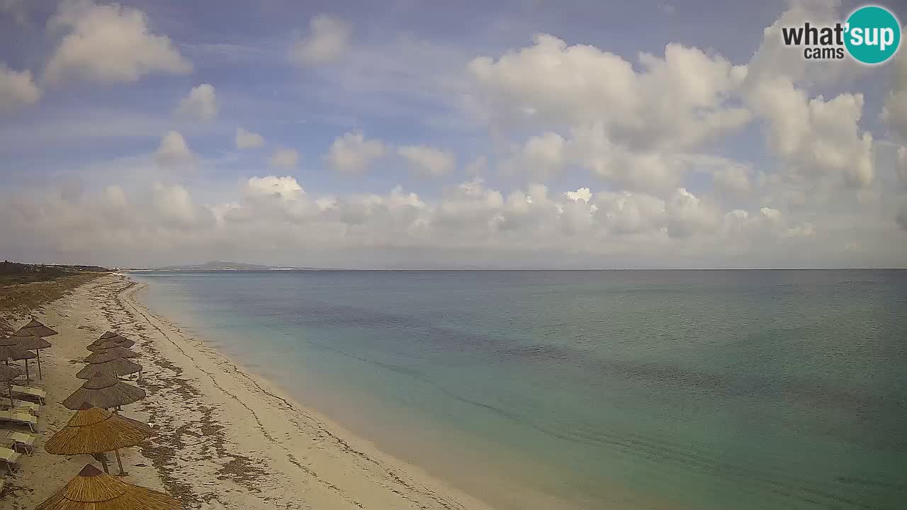 Plage Le Saline Live cam Stintino – Sardaigne