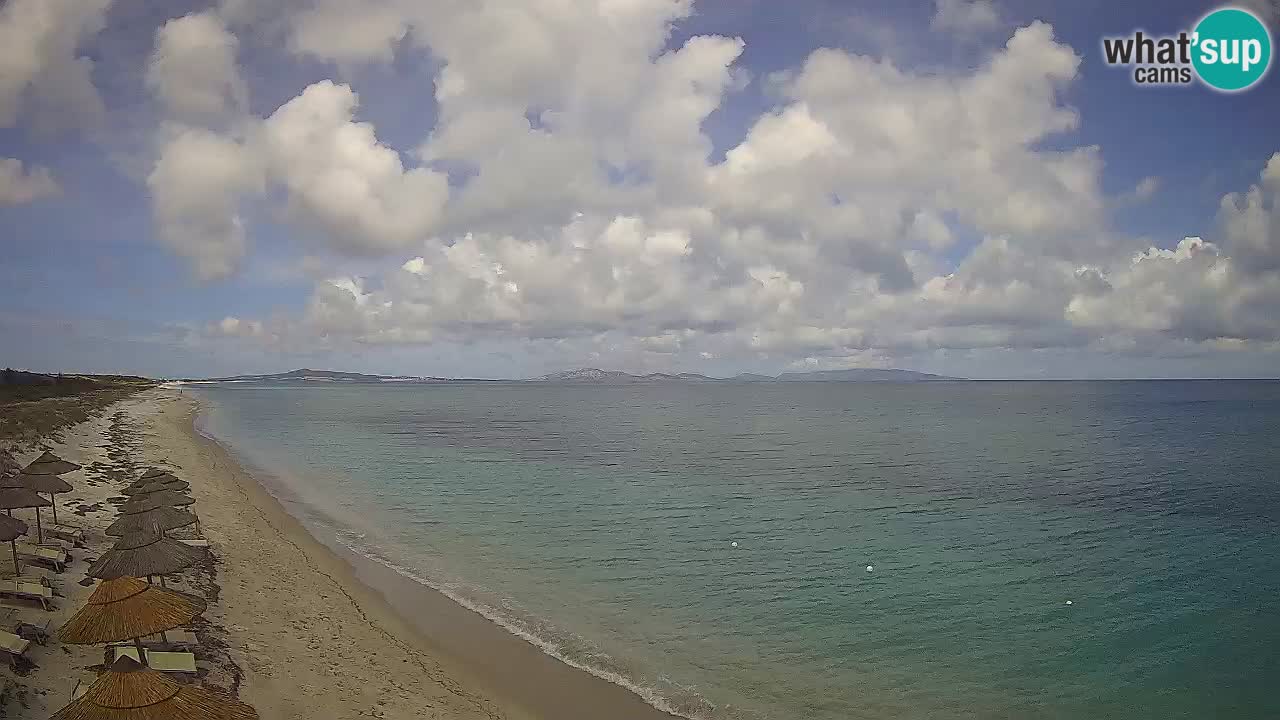 Plaža Le Saline spletna kamera Stintino – Sardinija
