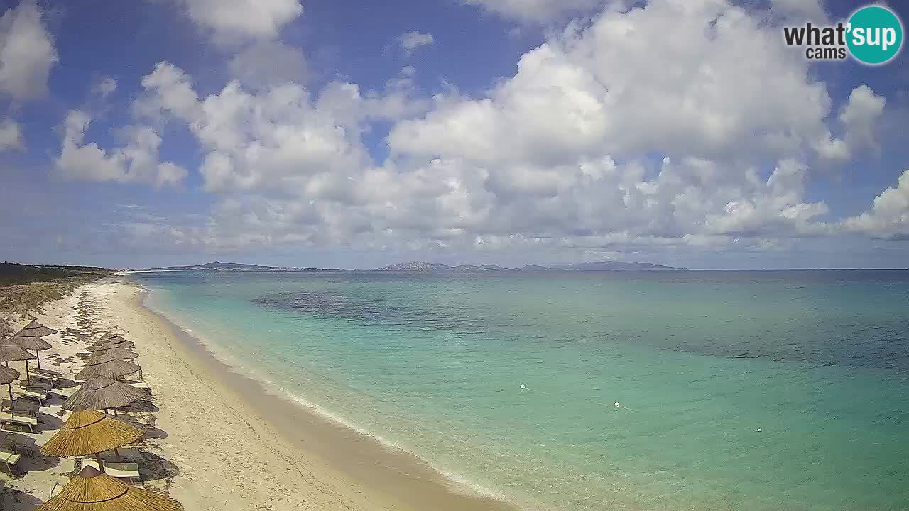 Plaža Le Saline web kamera Stintino – Sardinija