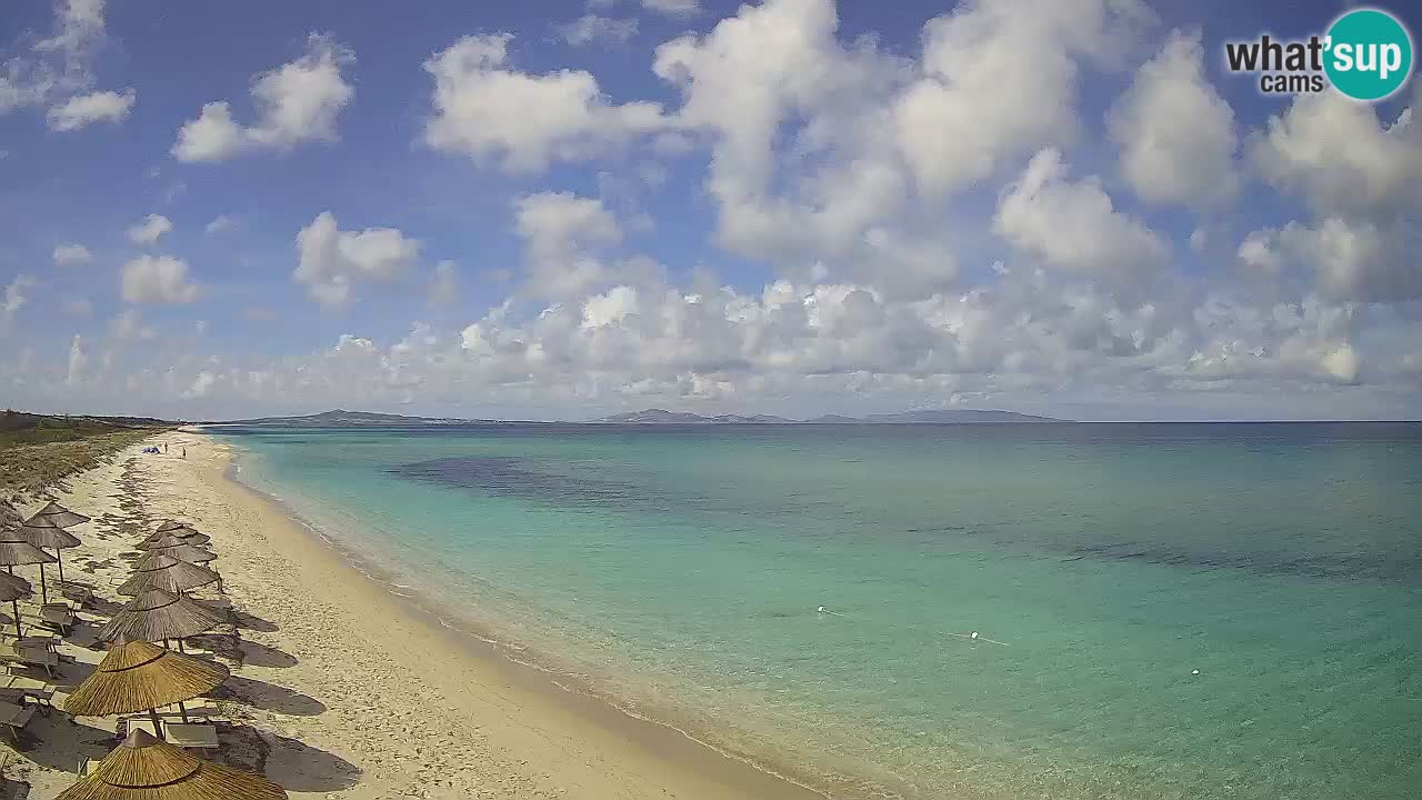 Playa Le Saline camera en vivo Stintino – Cerdeña