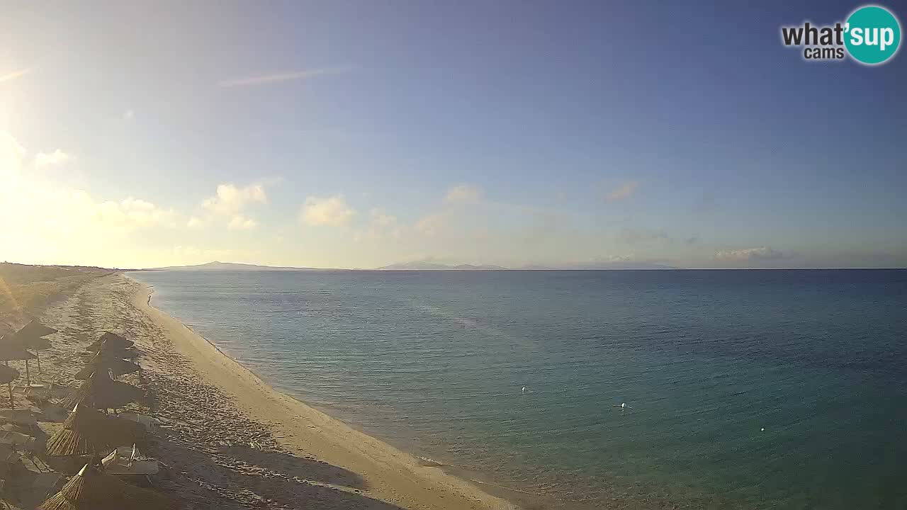 Beach Le Saline webcam live Stintino – Sardinia