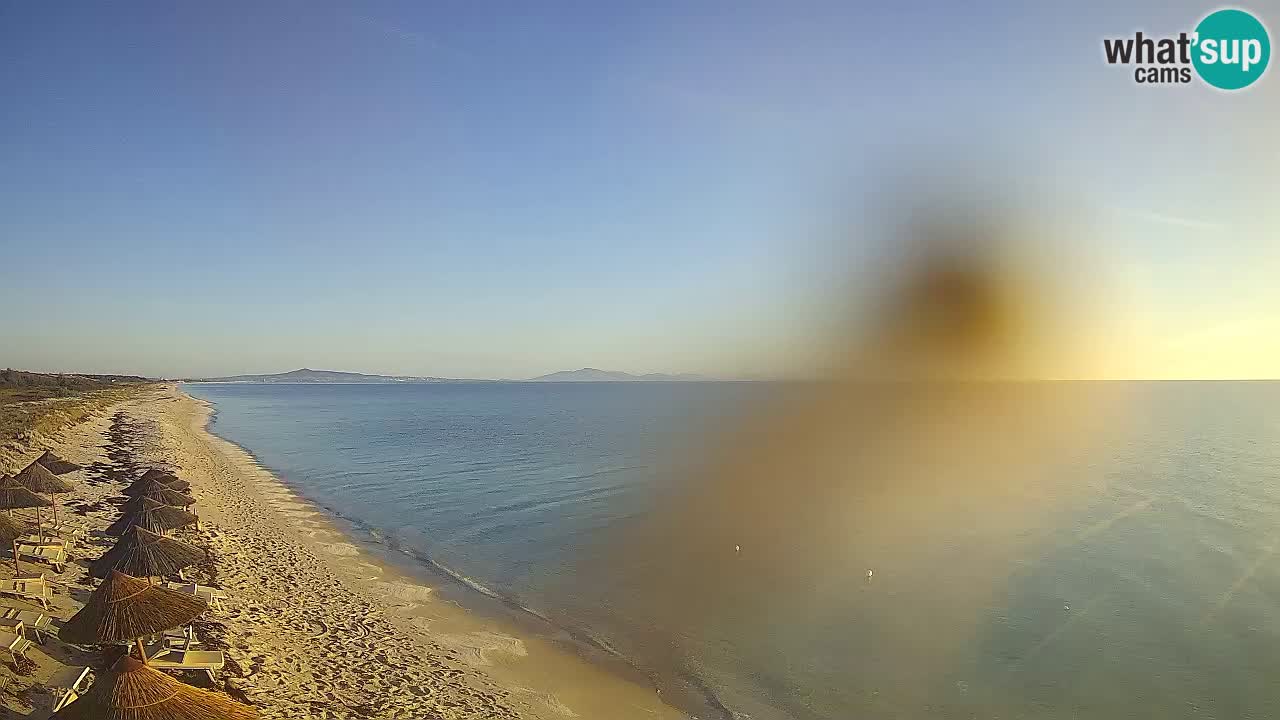 Beach Le Saline webcam live Stintino – Sardinia