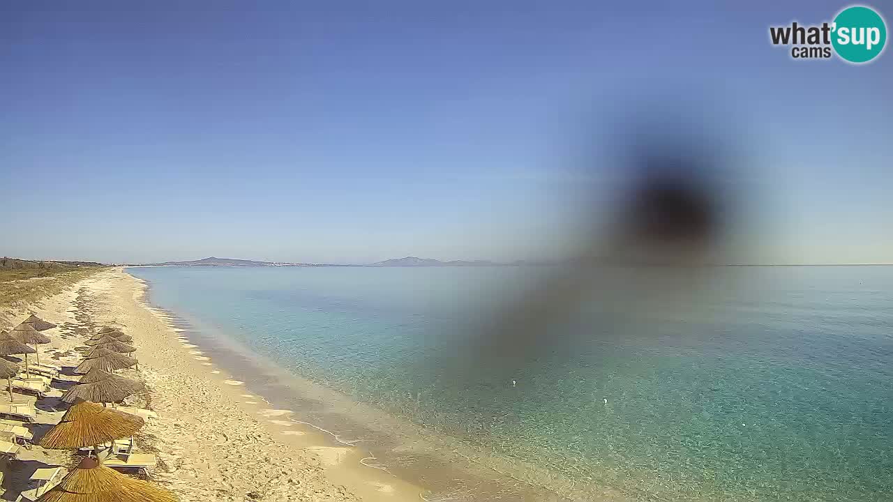 Strand Le Saline webcam Stintino – Sardinien