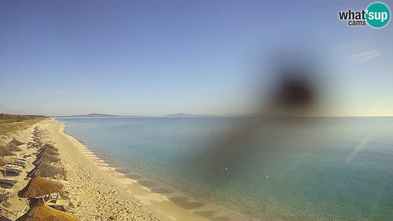 Spiaggia Le Saline webcam Stintino – Sardegna