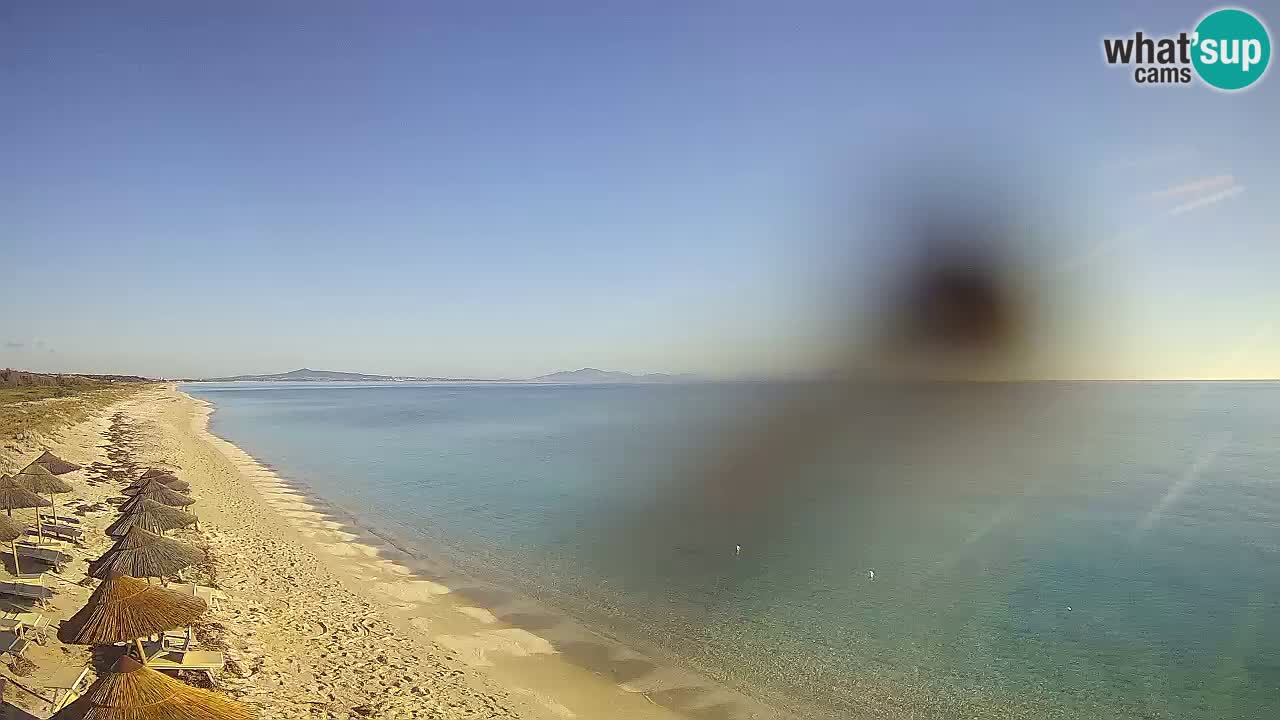 Plaža Le Saline web kamera Stintino – Sardinija