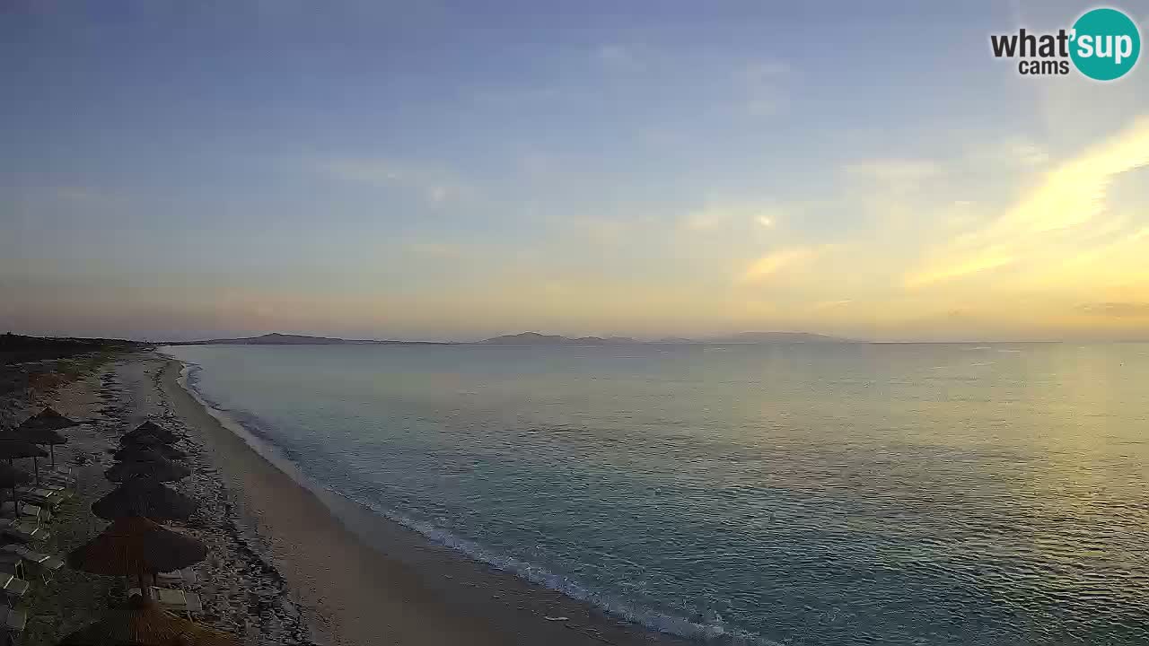 Playa Le Saline camera en vivo Stintino – Cerdeña