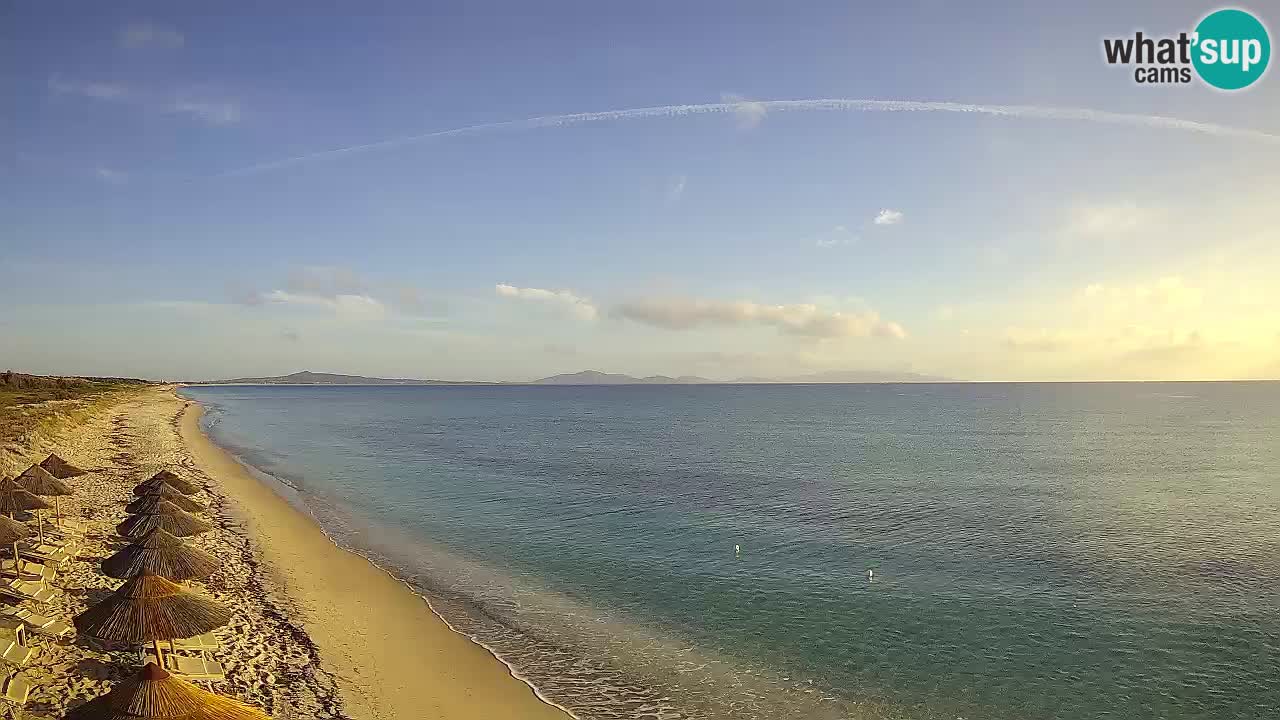 Playa Le Saline camera en vivo Stintino – Cerdeña
