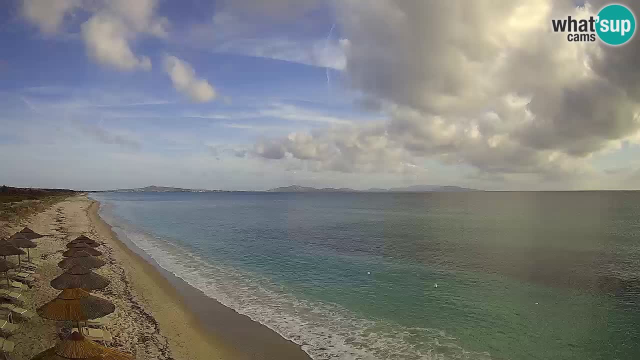 Plage Le Saline Live cam Stintino – Sardaigne