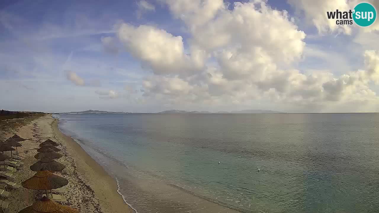 Strand Le Saline webcam Stintino – Sardinien