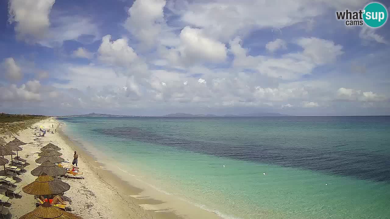 Plage Le Saline Live cam Stintino – Sardaigne