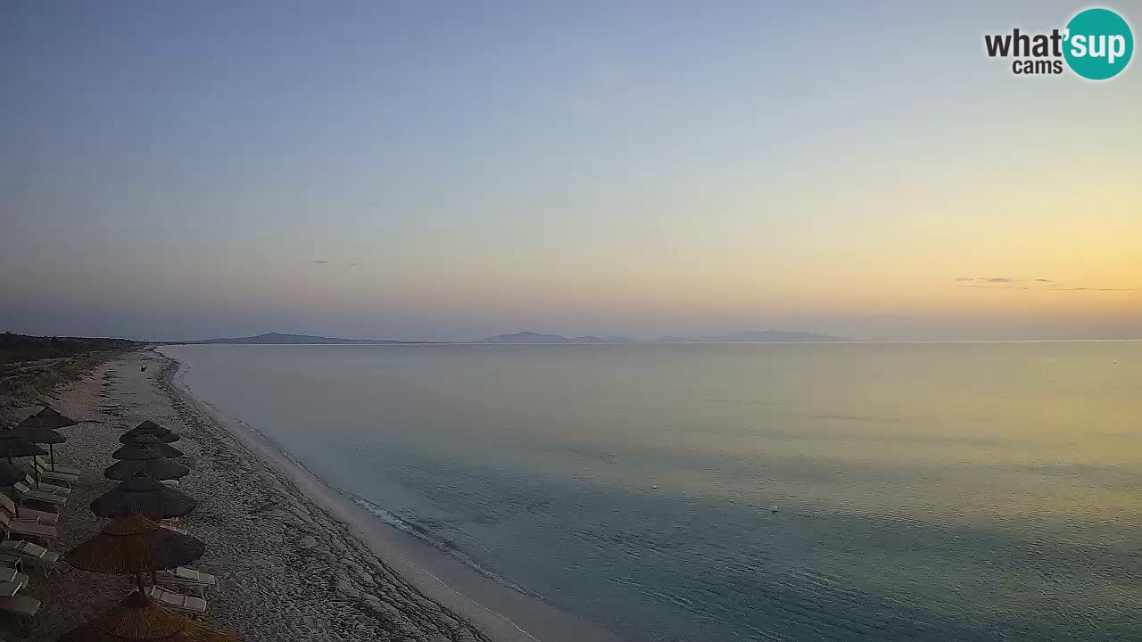 Spiaggia Le Saline webcam Stintino – Sardegna