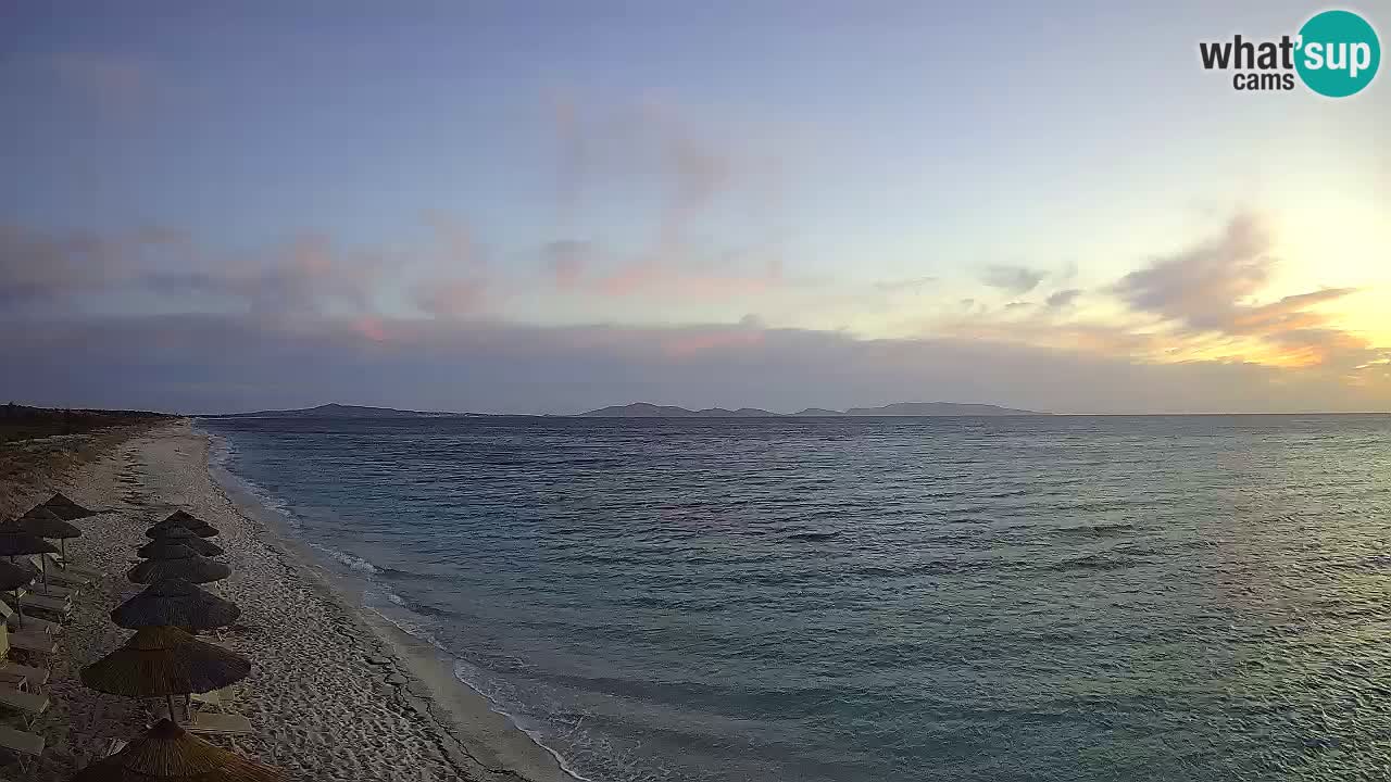 Plage Le Saline Live cam Stintino – Sardaigne