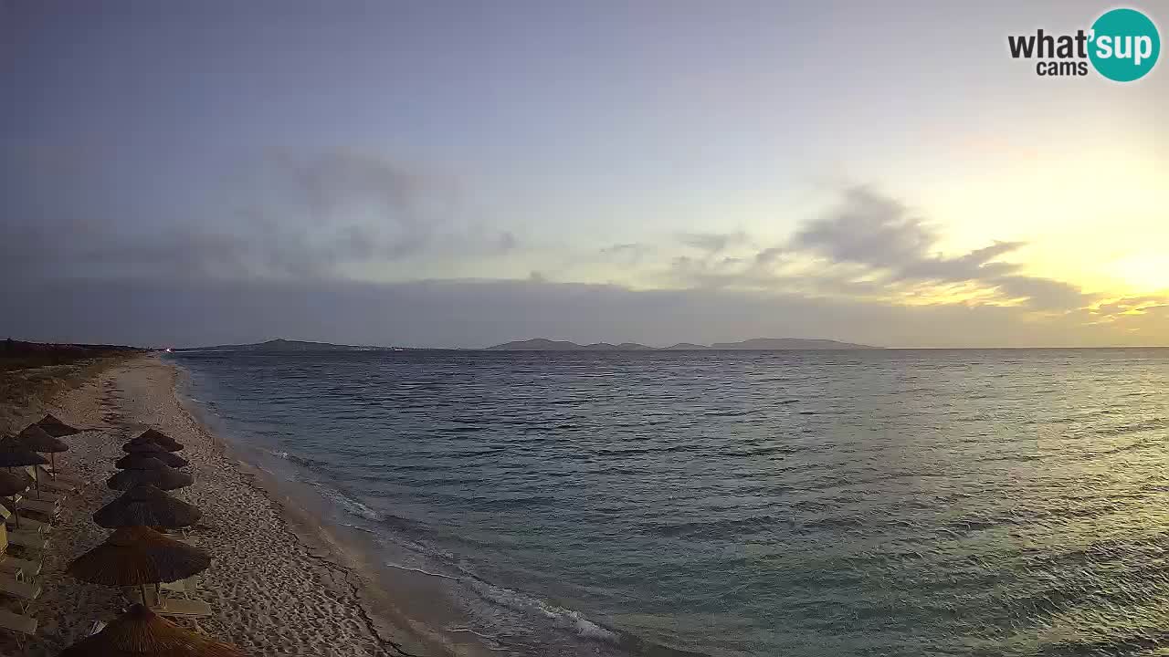 Plaža Le Saline spletna kamera Stintino – Sardinija