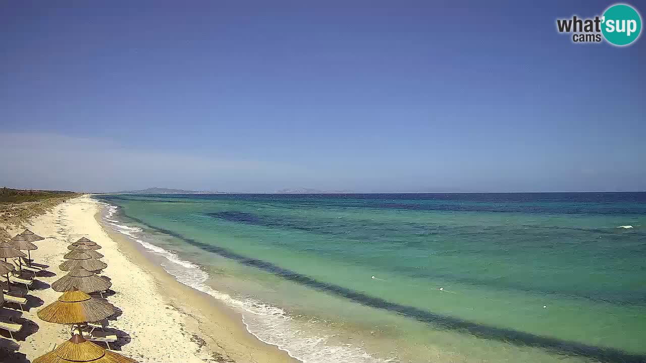 Strand Le Saline webcam Stintino – Sardinien