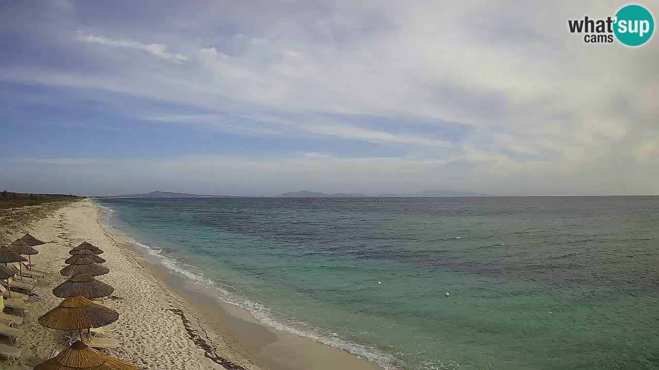 Spiaggia Le Saline webcam Stintino – Sardegna