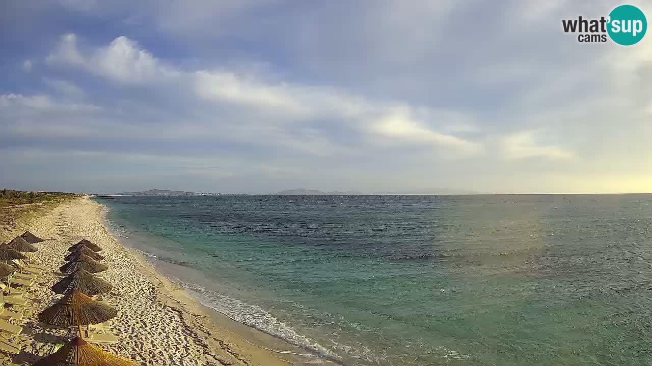 Plaža Le Saline web kamera Stintino – Sardinija