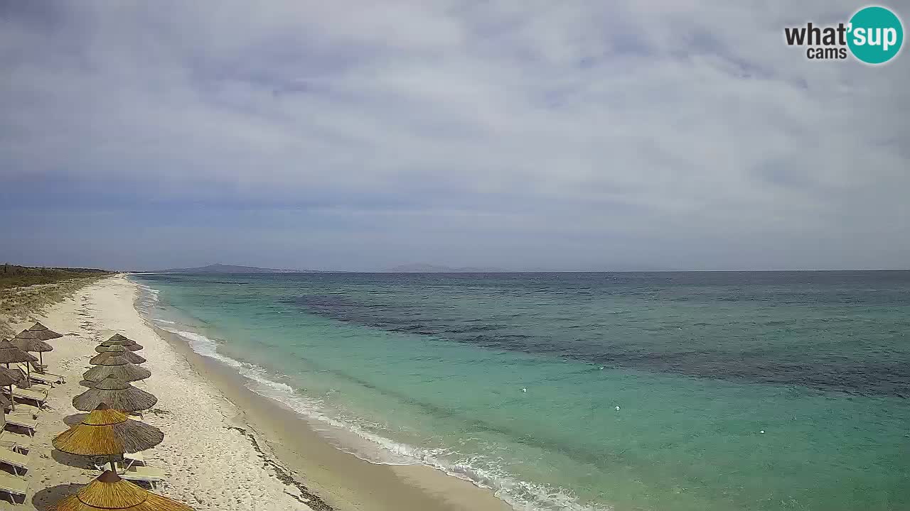 Plaža Le Saline spletna kamera Stintino – Sardinija