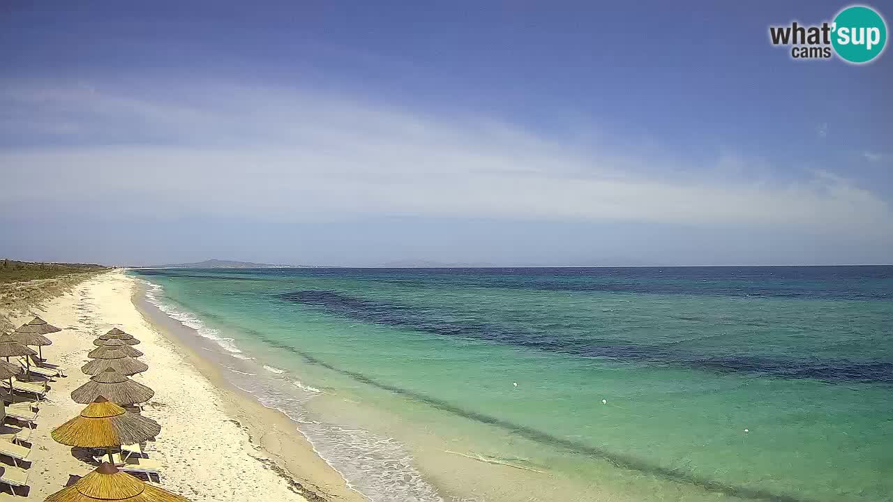 Plaža Le Saline web kamera Stintino – Sardinija