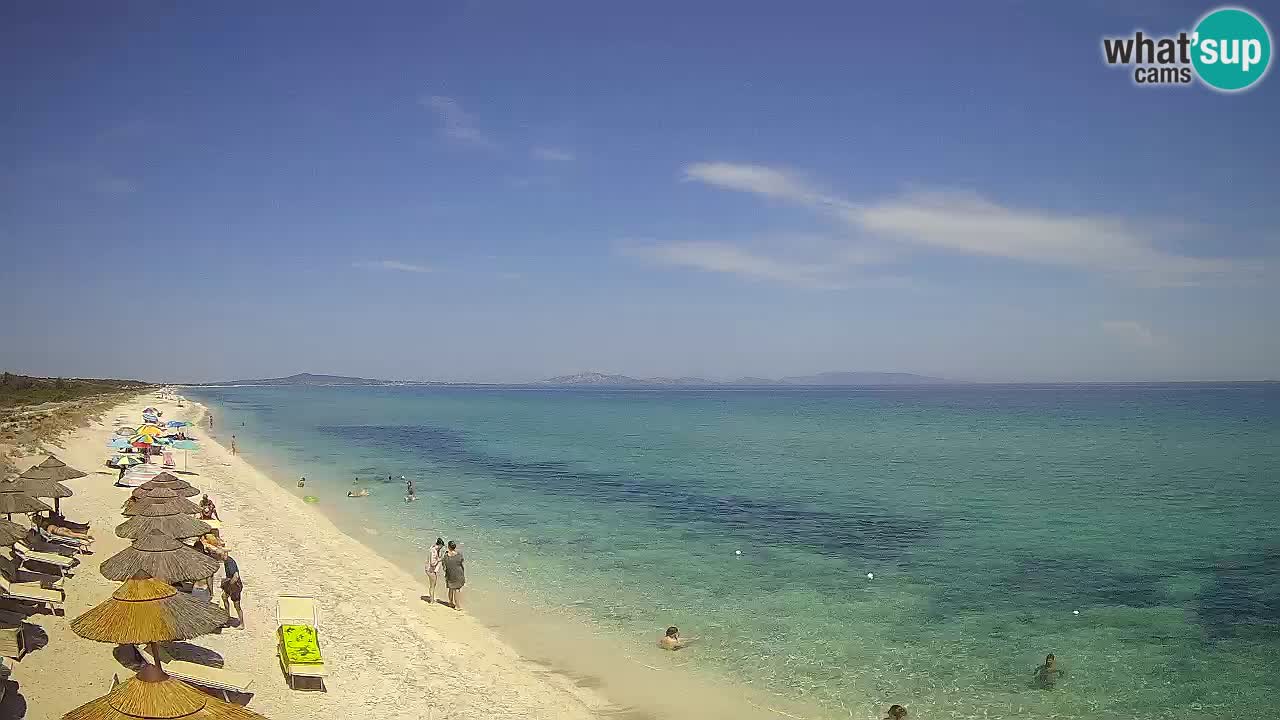 Plaža Le Saline web kamera Stintino – Sardinija