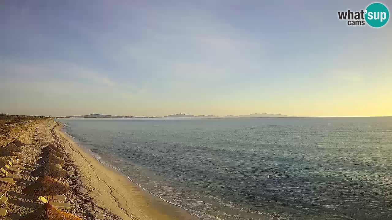 Playa Le Saline camera en vivo Stintino – Cerdeña