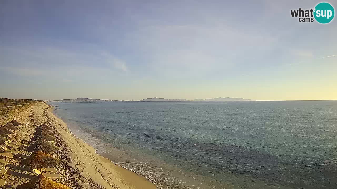 Strand Le Saline webcam Stintino – Sardinien