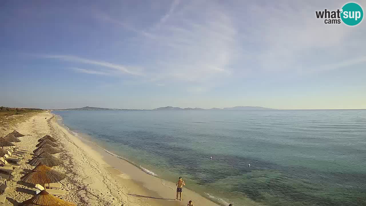 Plaža Le Saline spletna kamera Stintino – Sardinija