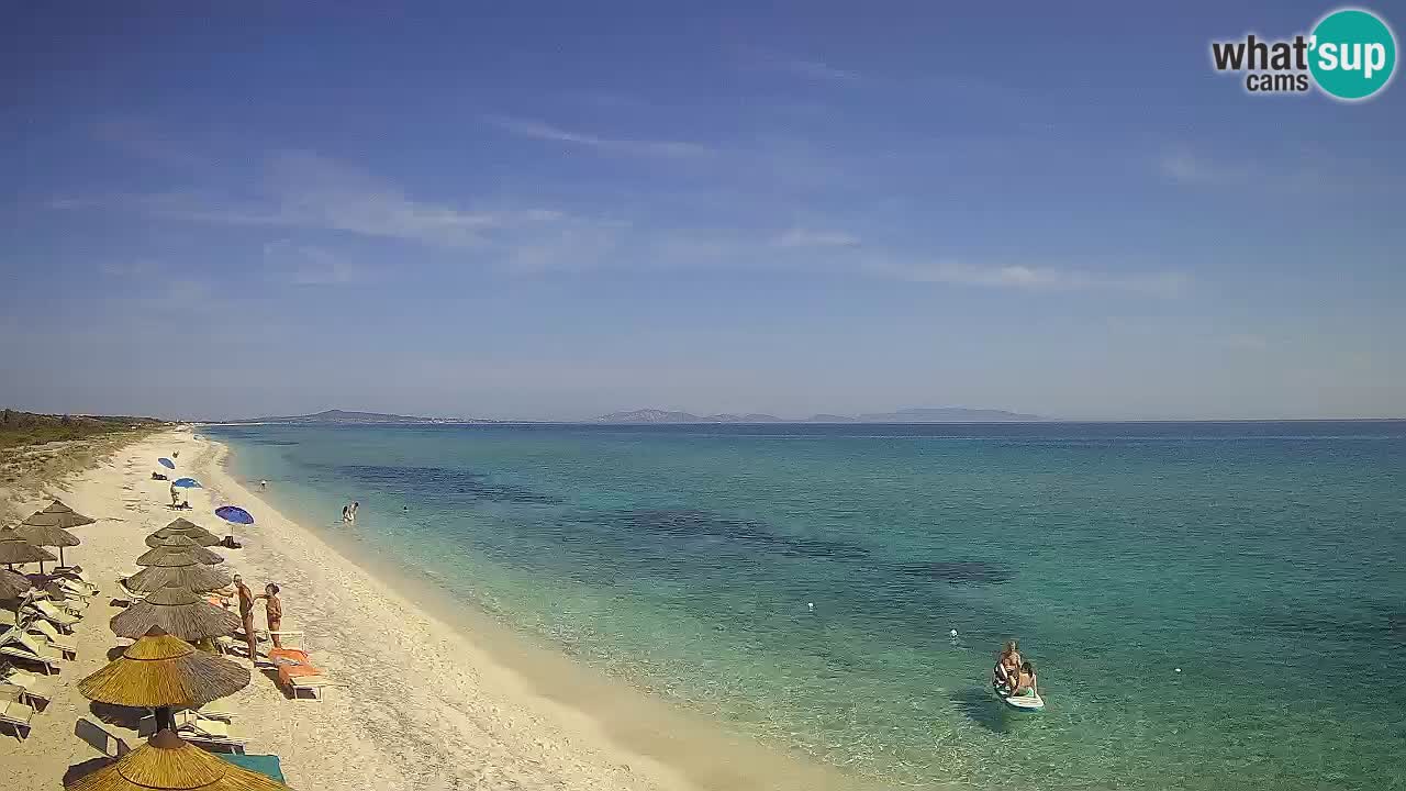 Beach Le Saline webcam live Stintino – Sardinia