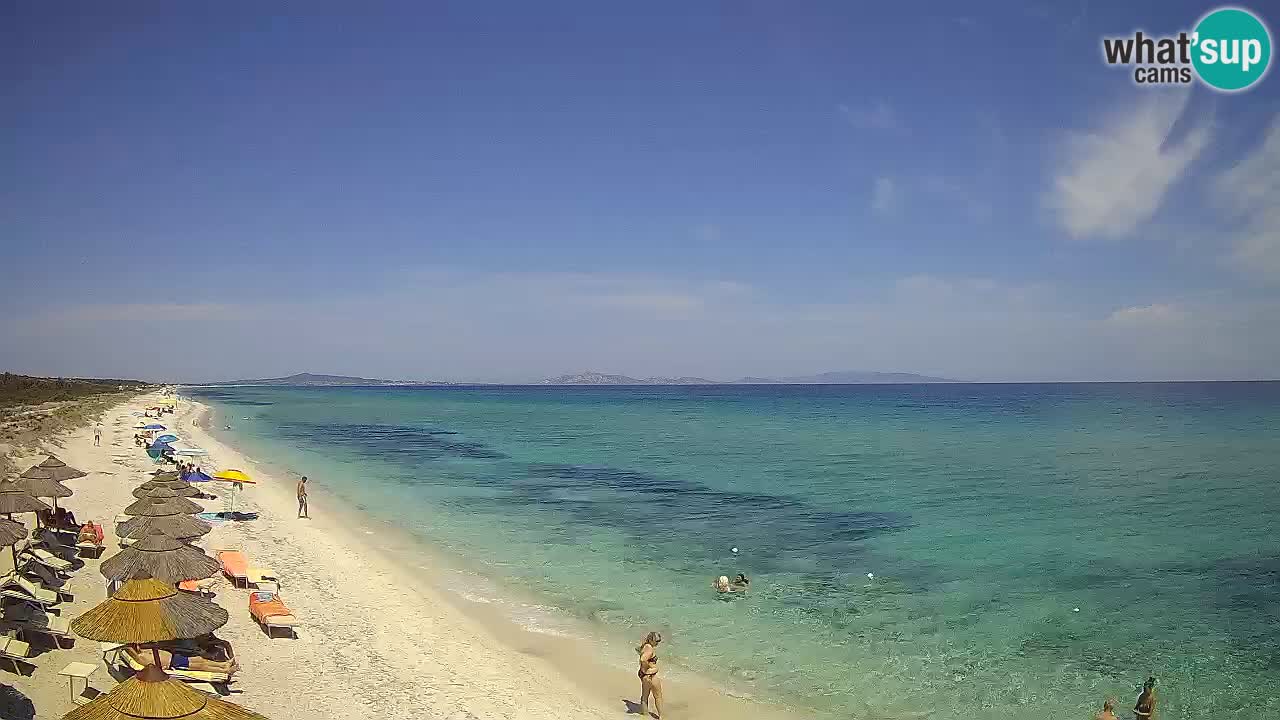 Playa Le Saline camera en vivo Stintino – Cerdeña
