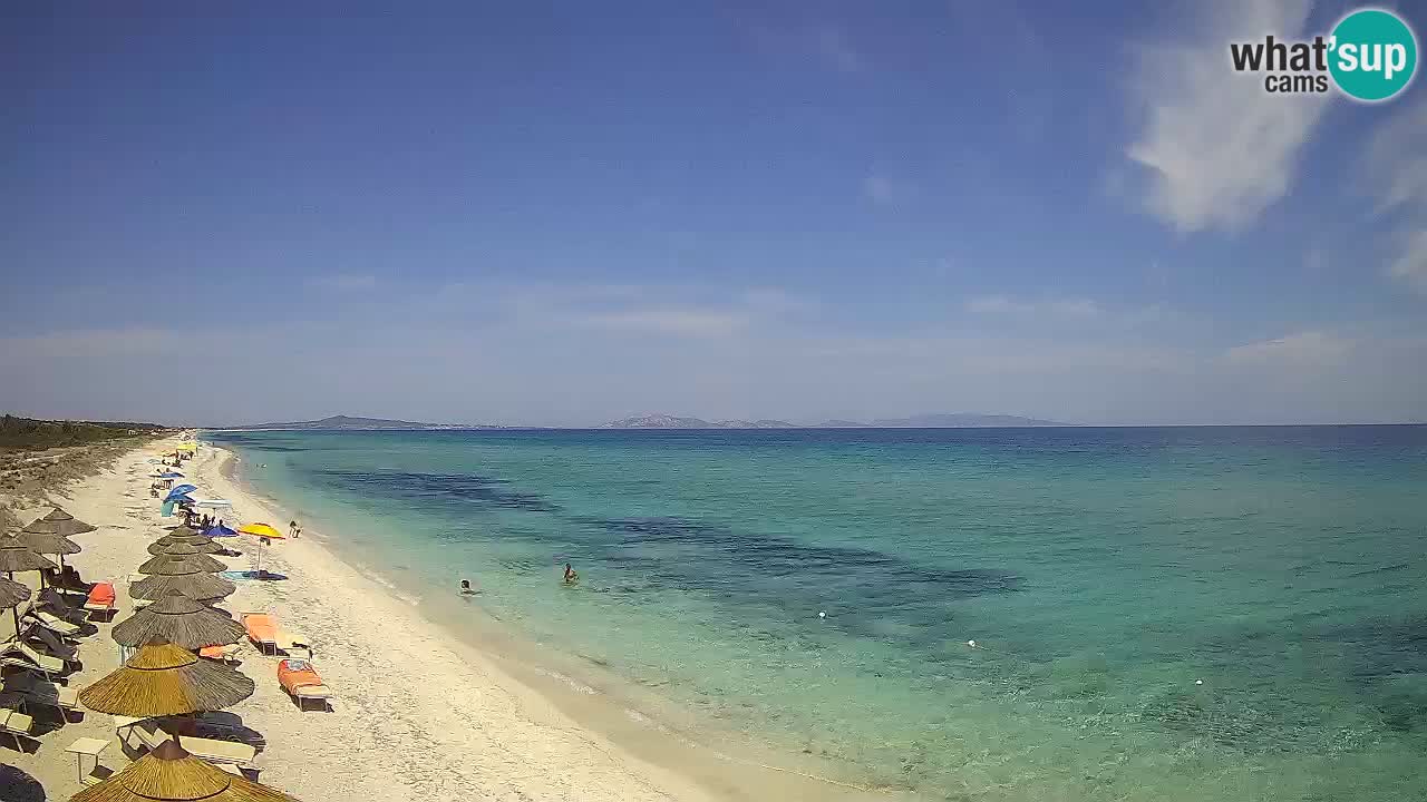 Spiaggia Le Saline webcam Stintino – Sardegna