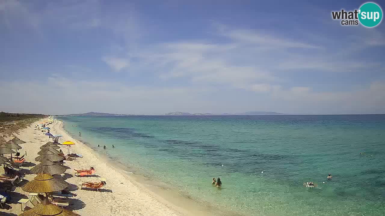 Spiaggia Le Saline webcam Stintino – Sardegna