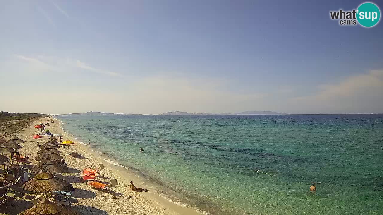 Plage Le Saline Live cam Stintino – Sardaigne