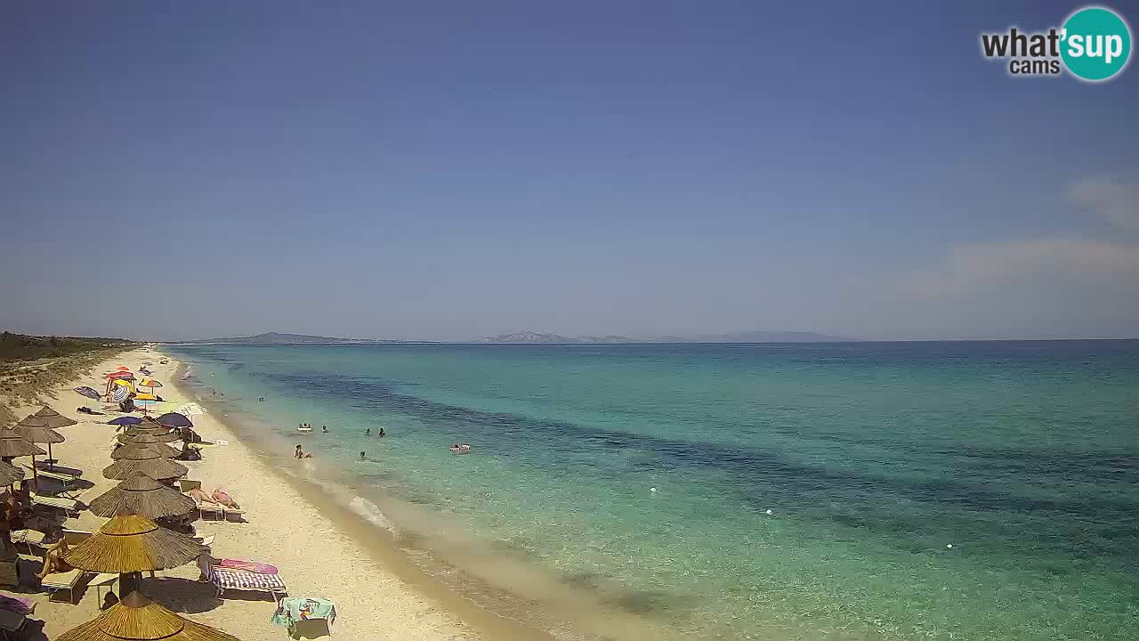 Playa Le Saline camera en vivo Stintino – Cerdeña