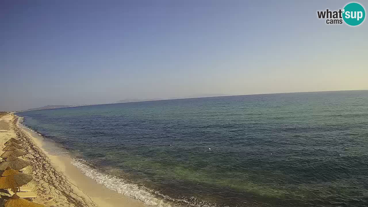 Beach Le Saline webcam live Stintino – Sardinia