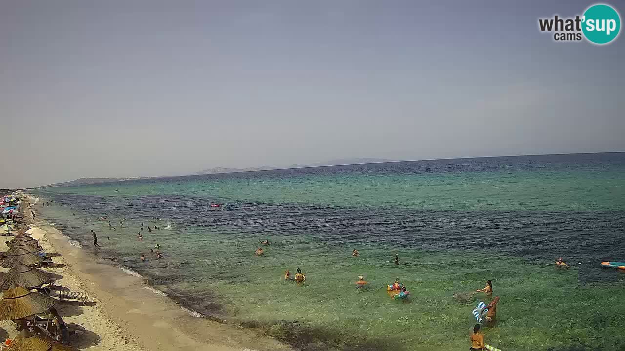 Spiaggia Le Saline webcam Stintino – Sardegna