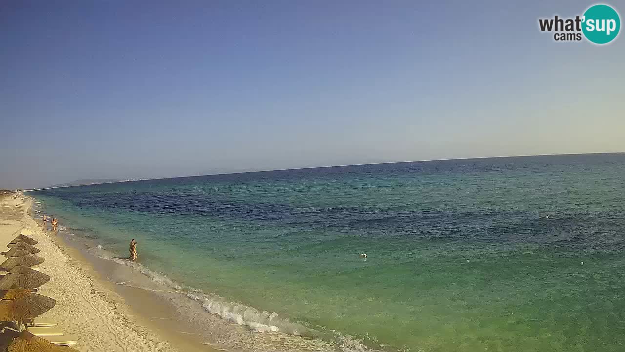 Strand Le Saline webcam Stintino – Sardinien