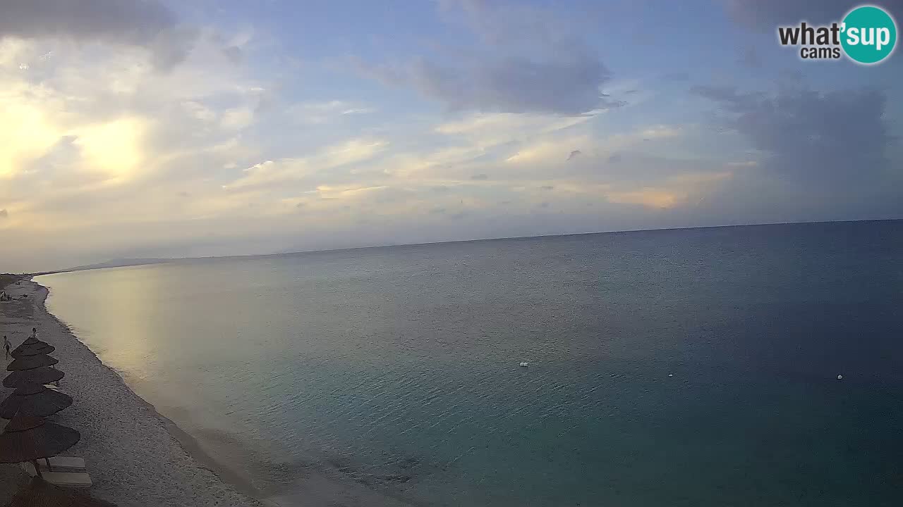 Beach Le Saline webcam live Stintino – Sardinia