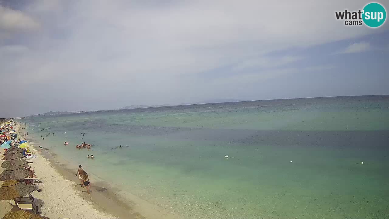 Beach Le Saline webcam live Stintino – Sardinia