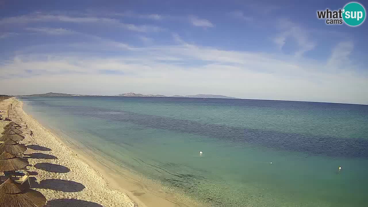 Strand Le Saline webcam Stintino – Sardinien