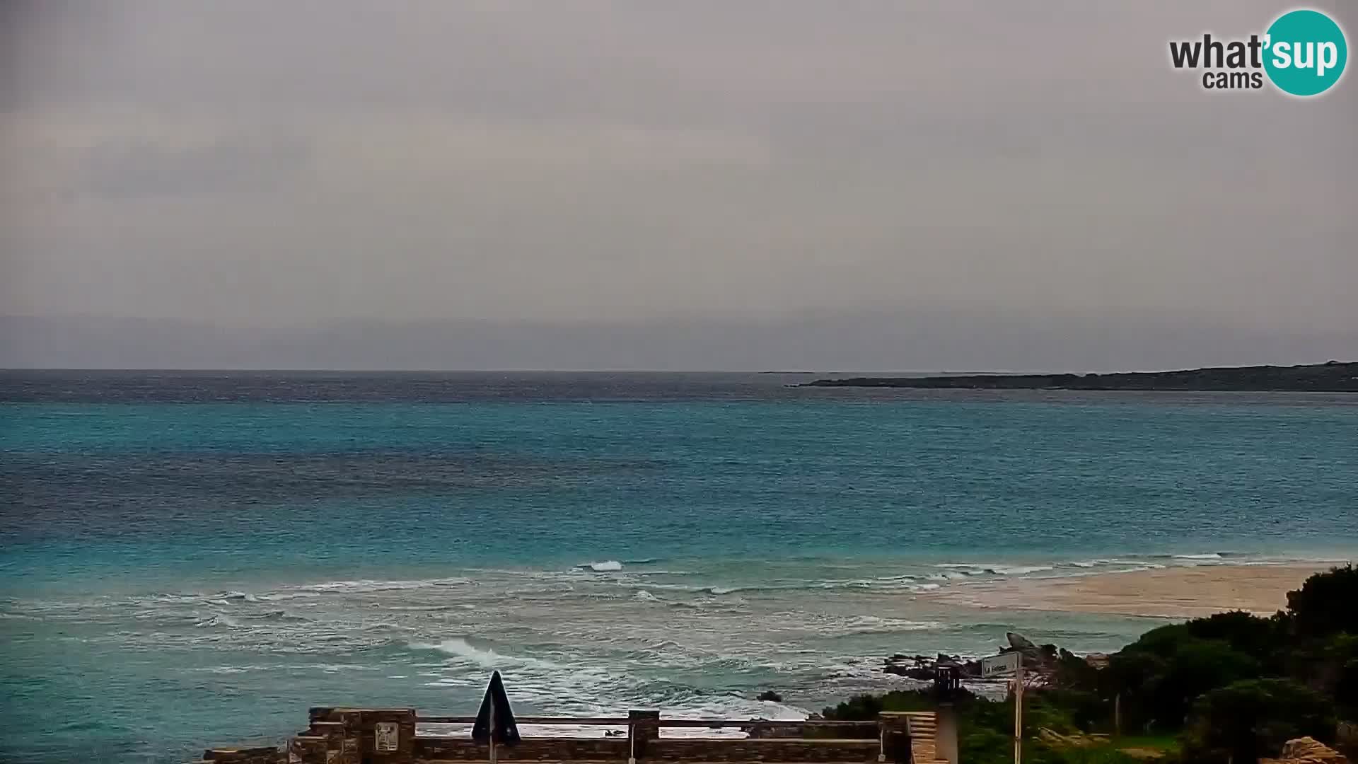 Stintino Live webcam Spiaggia La Pelosa – Sardegna