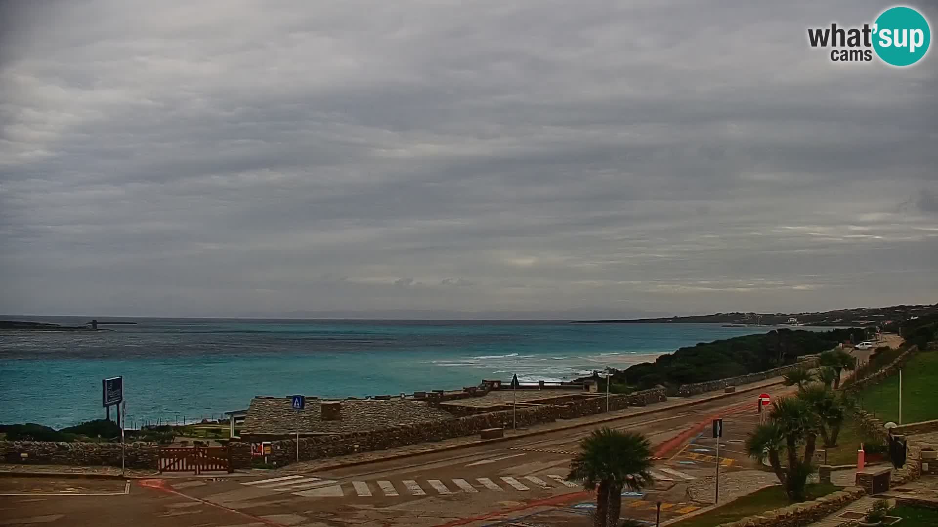 Capo Falcone – camera en vivo Stintino – Playa La Pelosa