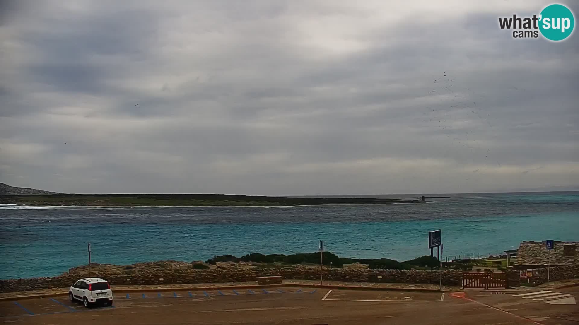 Stintino Spletna kamera v živo Plaža La Pelosa – Sardinija – Italija