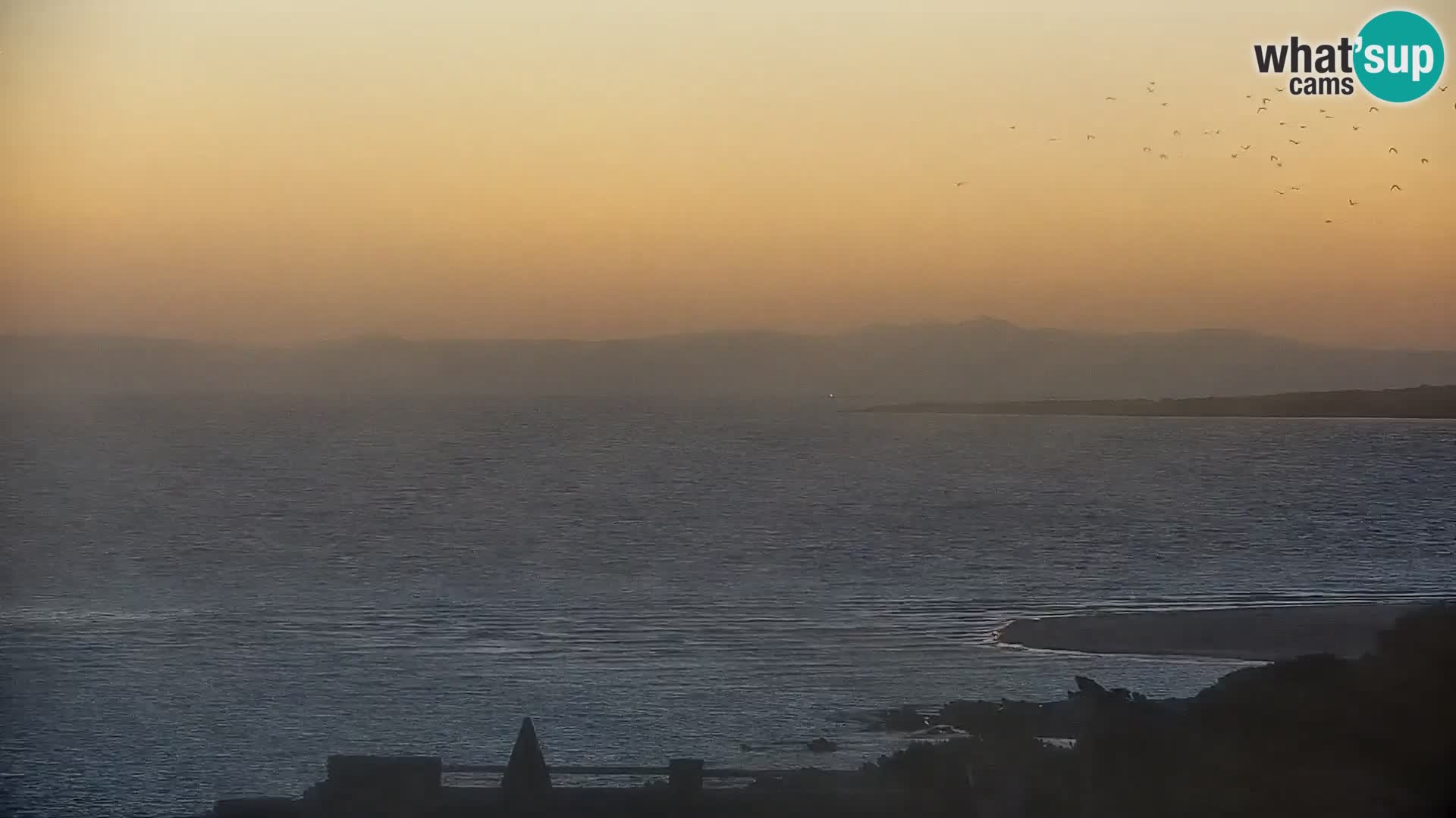 Capo Falcone – camera en vivo Stintino – Playa La Pelosa