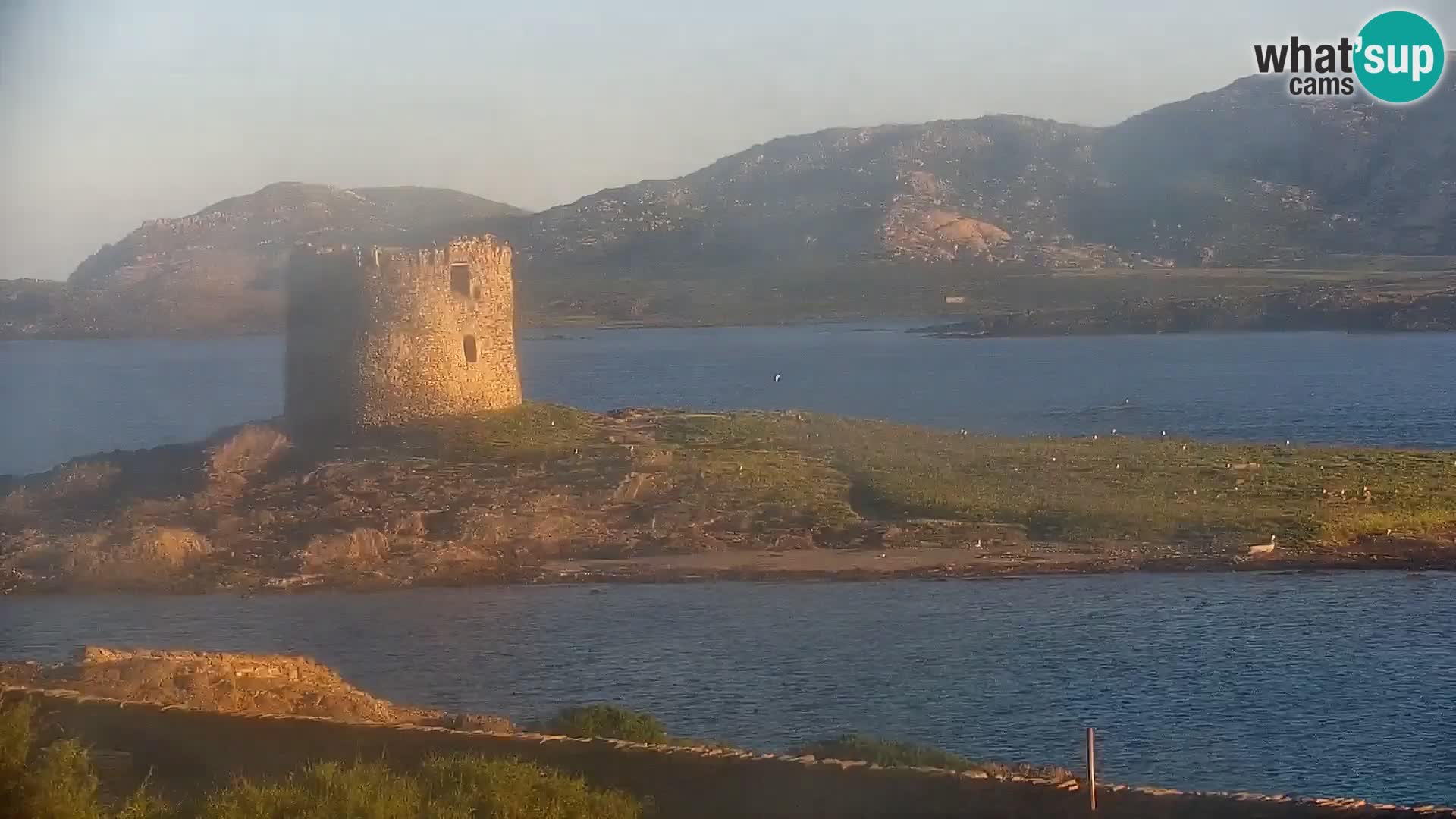 Capo Falcone livecam Stintino – La Pelosa Strand