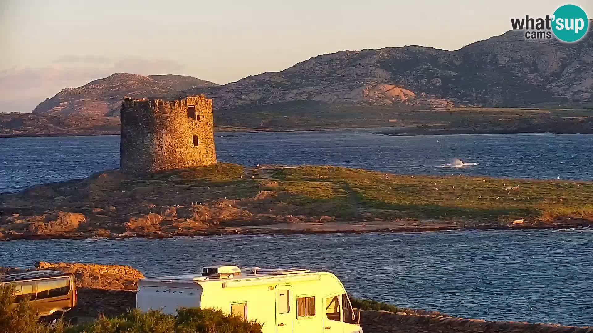 Capo Falcone livecam Stintino – La Pelosa Strand