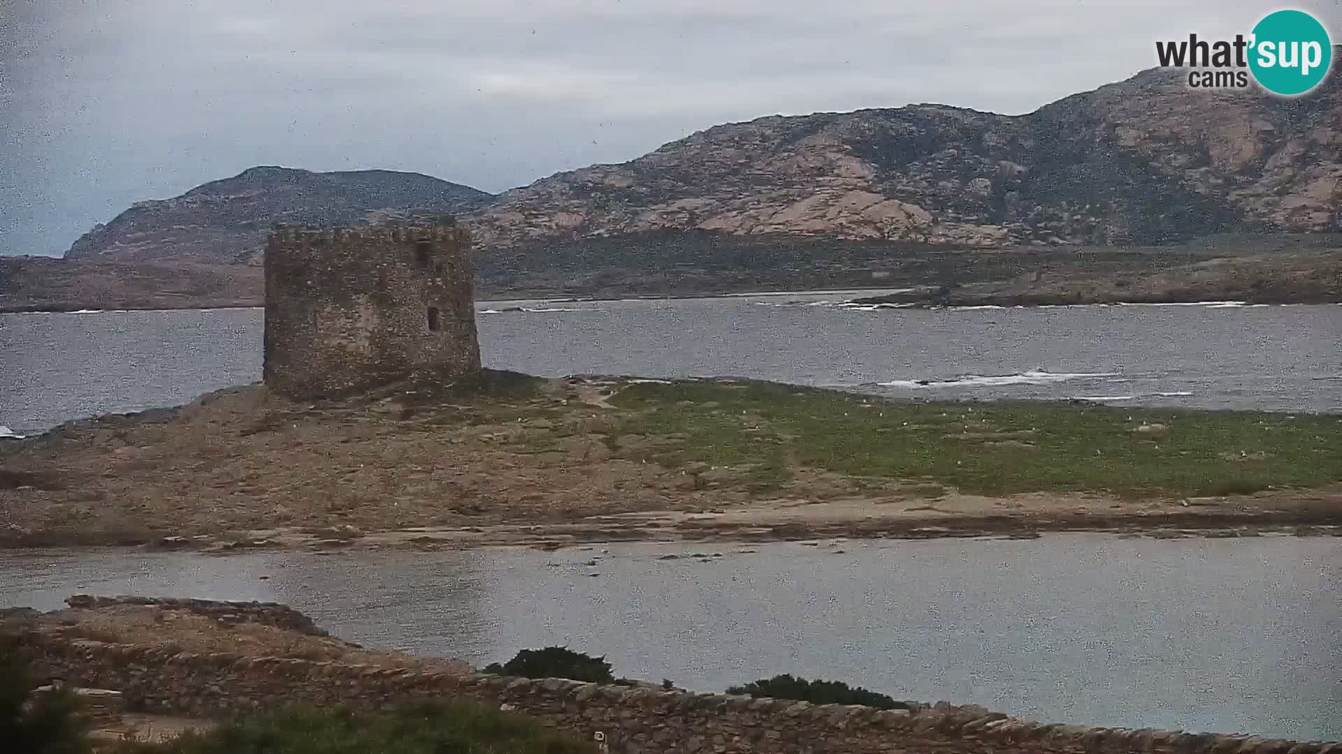 Stintino Live webcam Spiaggia La Pelosa – Sardegna