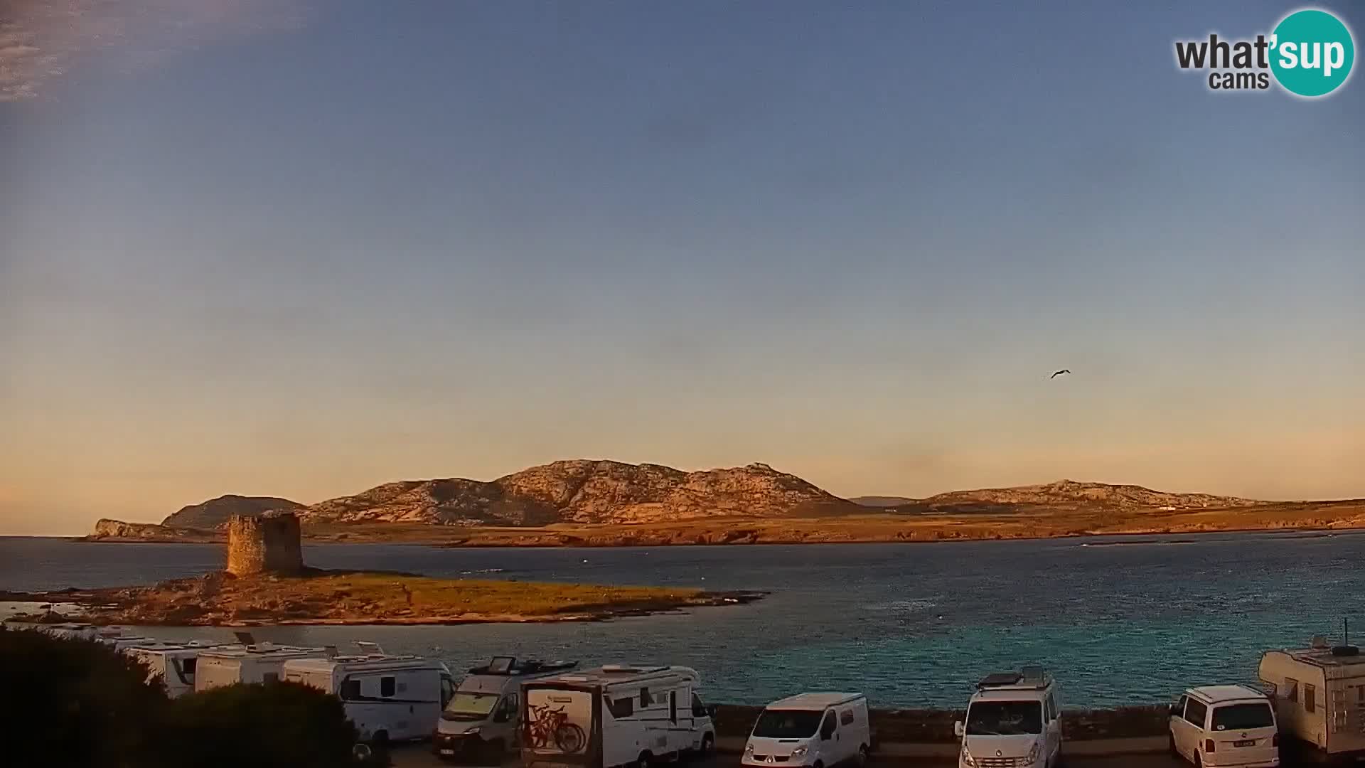 Stintino Web kamera uživo plaža La Pelosa – Sardinija – Italija