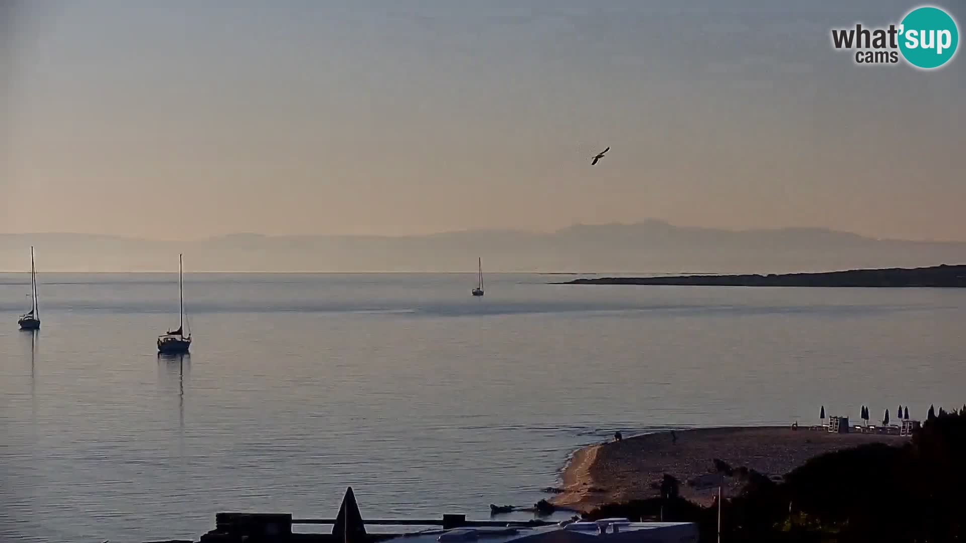 Stintino livecam – La Pelosa beach